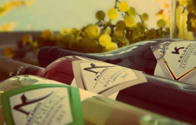 Wycieczka fakultatywna, Szlakiem Cypryjskich Winnic - Kalamos Winiarnia